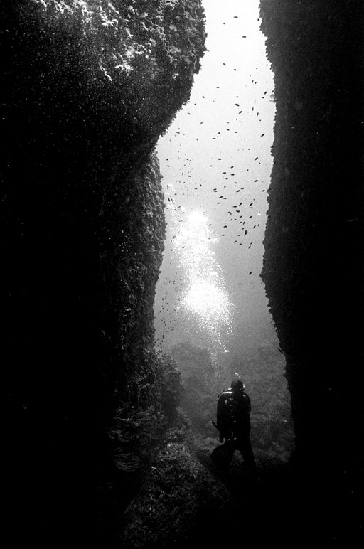 Underwater Film Photography by Simone Carresi