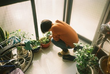 カメラ: konica k mini · Lomography