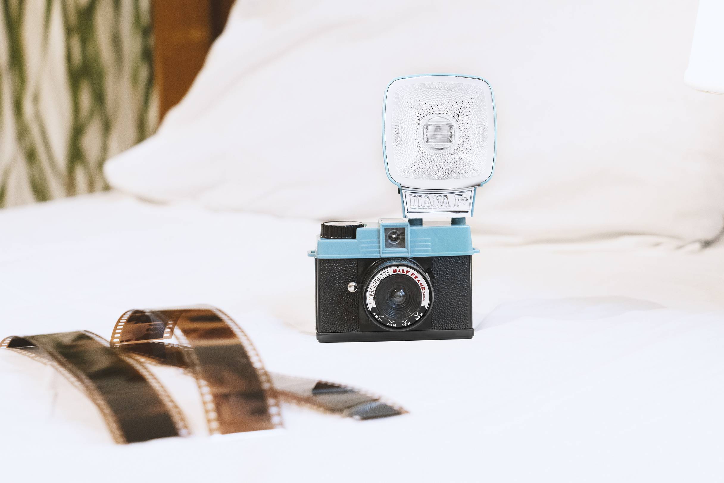 夏におすすめのロモグラフィーフィルムカメラ 2026 · Lomography