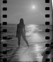 カメラ: Yashica 44 · Lomography