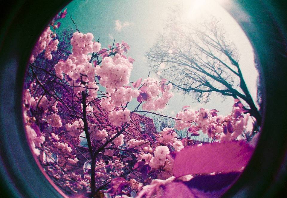 Merve Yılmaz 与 Fisheye No. 2 35mm 相机：随性与魔力