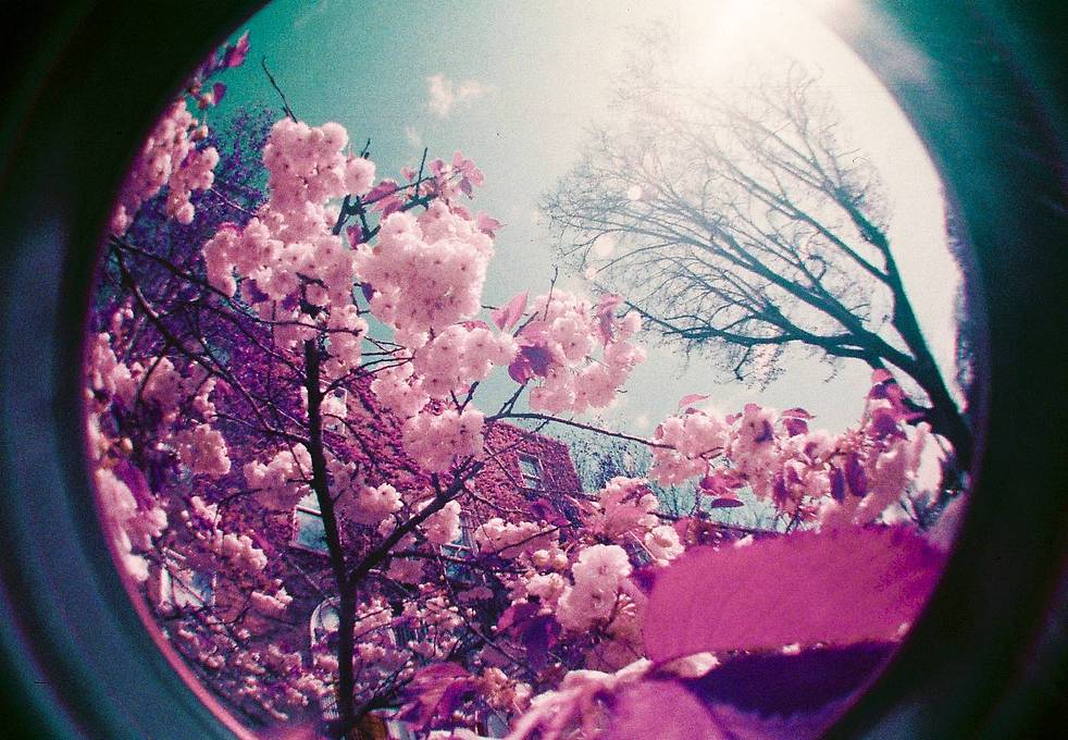 Photos by Merve Yılmaz