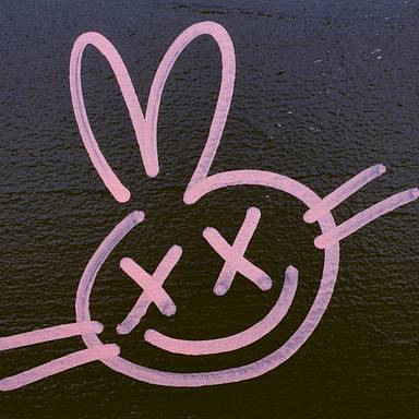 spadebunny