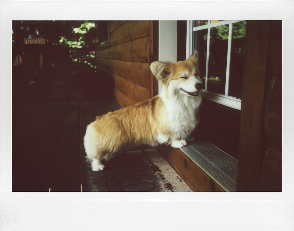 由 Ben Fraternale 使用 Lomo'Instant Wide Glass 拍摄，画面中人物：Laura Blasey、Lauren Fraternale 和 Michael King