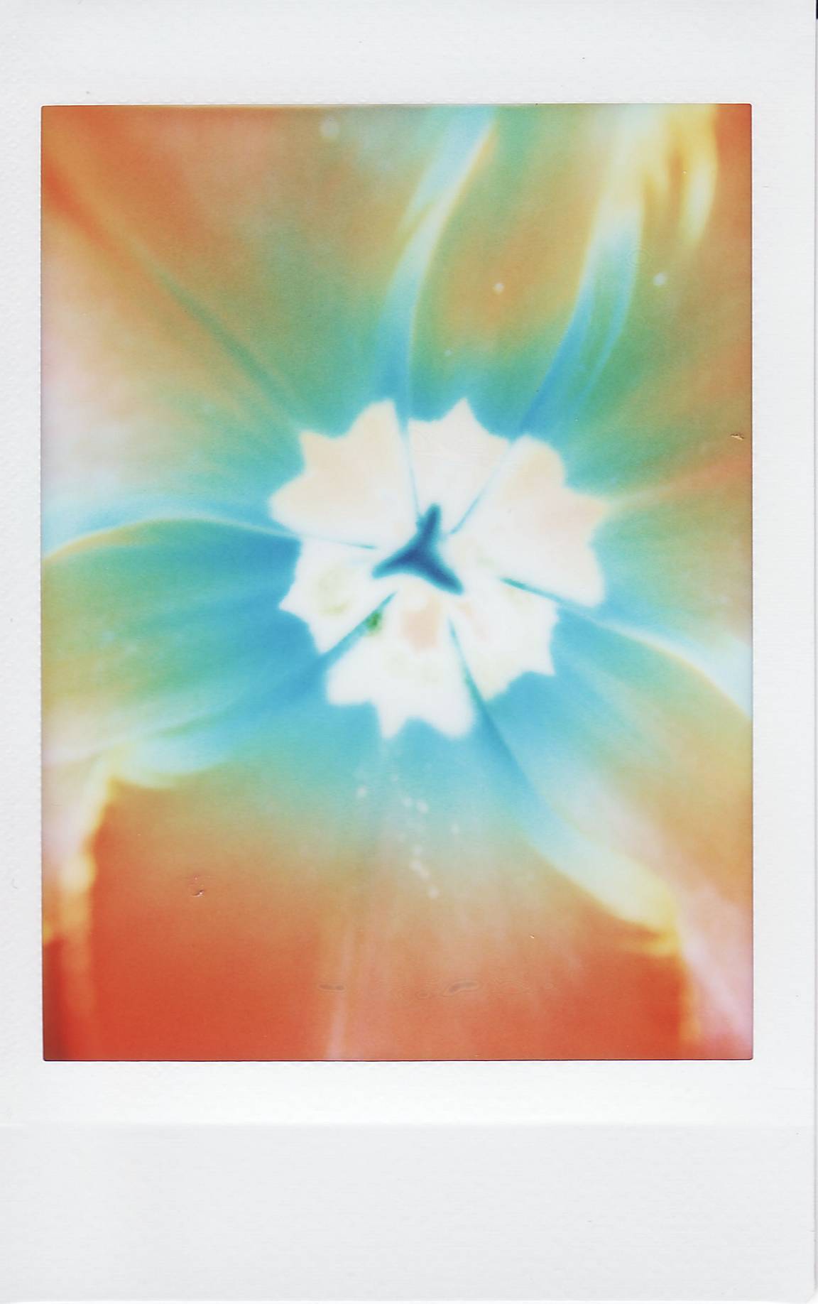 Instant Experiments