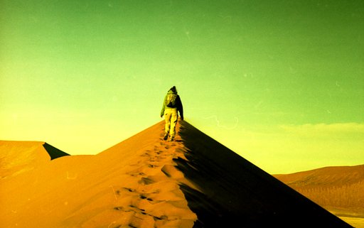 Lomography Pioneers: Community Building and Inspirations With @disdis