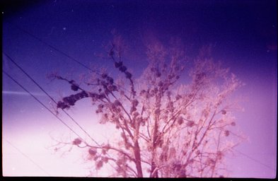 フィルム: konica jx 400 · Lomography フィルム: konica jx 400 · Lomography