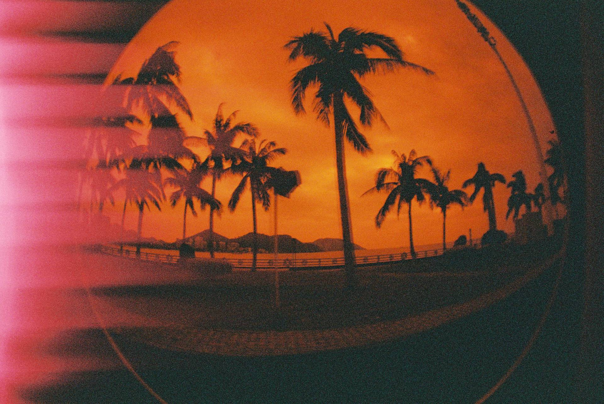 © 海南岛国际电影节