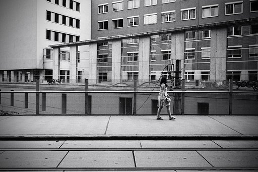 View from Vienna: A City in Black and White