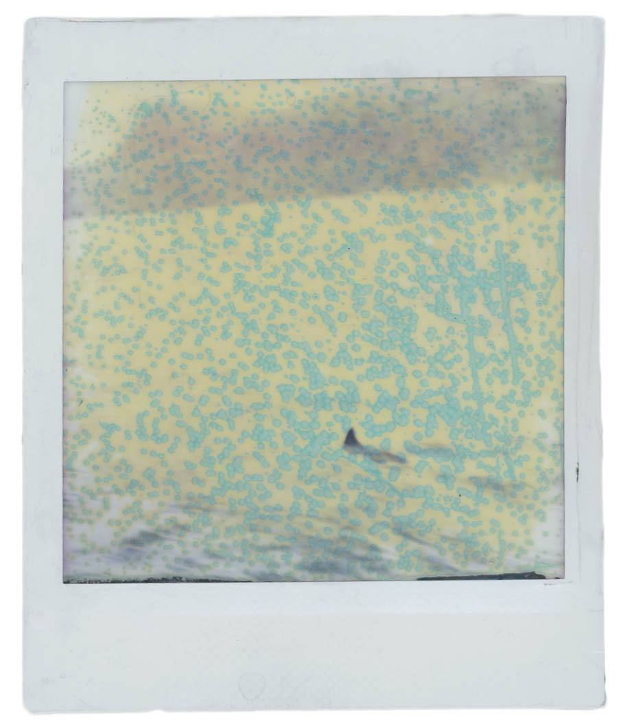 Tipster: Bleaching Instax Film · Lomography