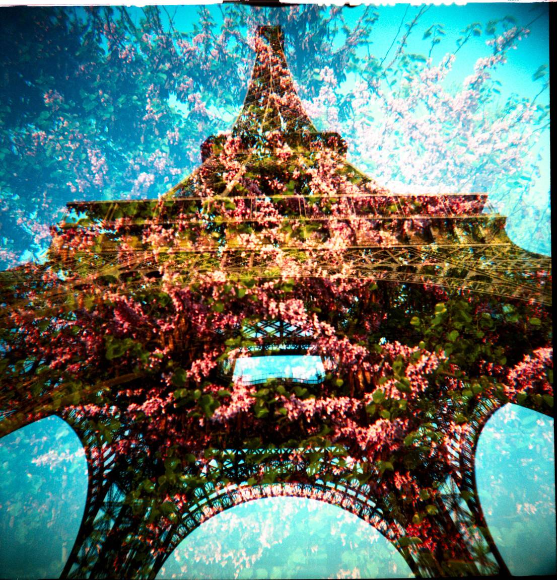 生誕10周年》Diana F+ 多重露光ベストショット集 · Lomography