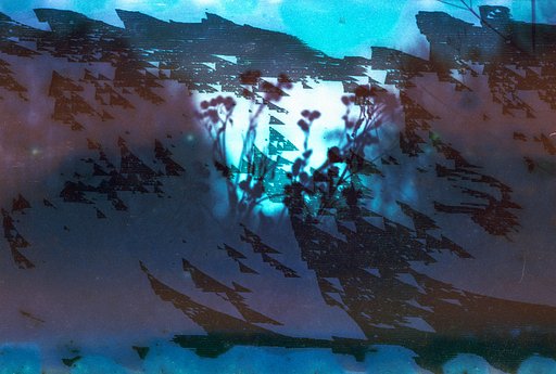 Filmshiver's Analogue Experiments with Lomography Film
