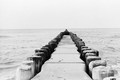Camera: Carl Zeiss Werra 4 · Lomography