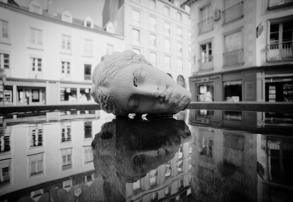 Photo by onerupee, vicuna &amp; fancholland2