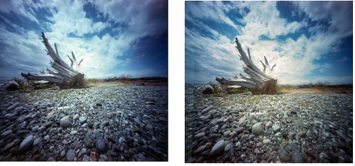 New Medium Format Pinhole Cameras 