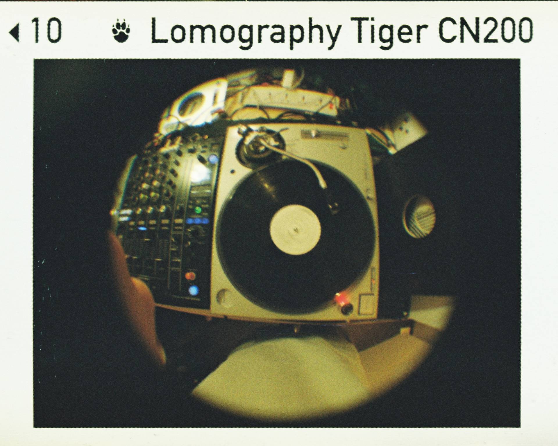 © 叶梓清 |  使用 Fisheye Baby 110 鱼眼胶片相机－金属版 &amp; Lomography CN Tiger 110 负片胶卷 拍摄