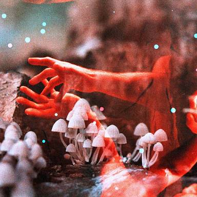 lalouve