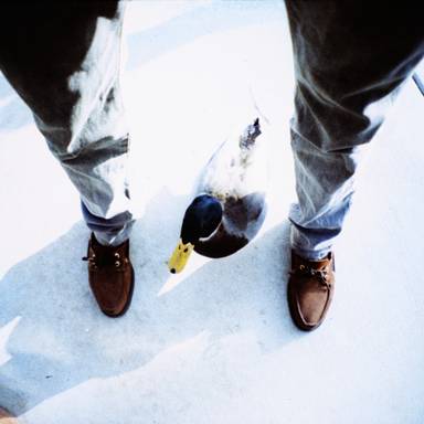 lomosexual_manboy