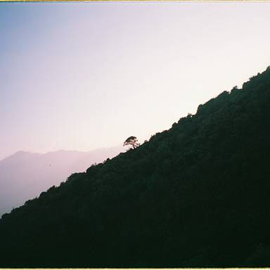 klaustruong
