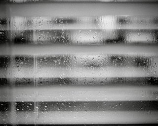 フィルム: ILFORD FP4 PLUS 125 · Lomography
