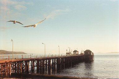 カメラ: Canon A35 Datelux · Lomography