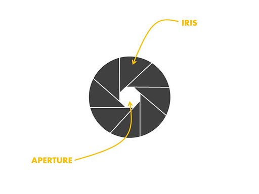 Lomography's Little Lessons: Aperture 