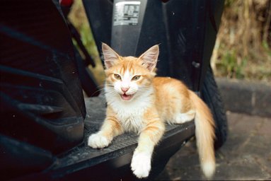 レンズ: Nikon SERIES E 35mm f2.5 · Lomography