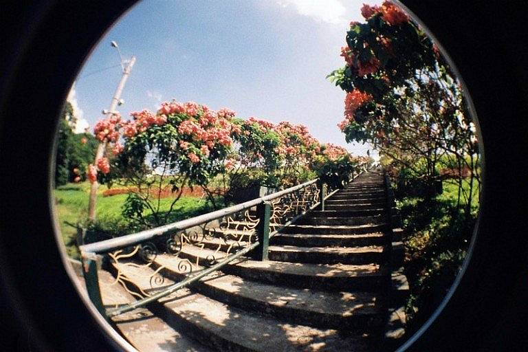 带上你的 LomoApparat 前往奎松市宁静的 La Mesa 生态公园 (La Mesa Ecopark) ，花上一整天时间去亲近当地的动植物。这片占地 33 公顷的开阔绿洲是繁忙都市中的避难所，为摄影师和文化爱好者提供了完美的户外活动，尤其适合进行诸如广角透视下的多重曝光等创意实验。（Photo by maisiebelleshoots ）
