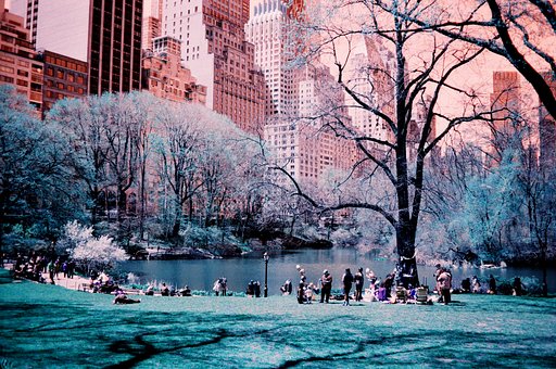 Out & About: Studying Urban Spaces