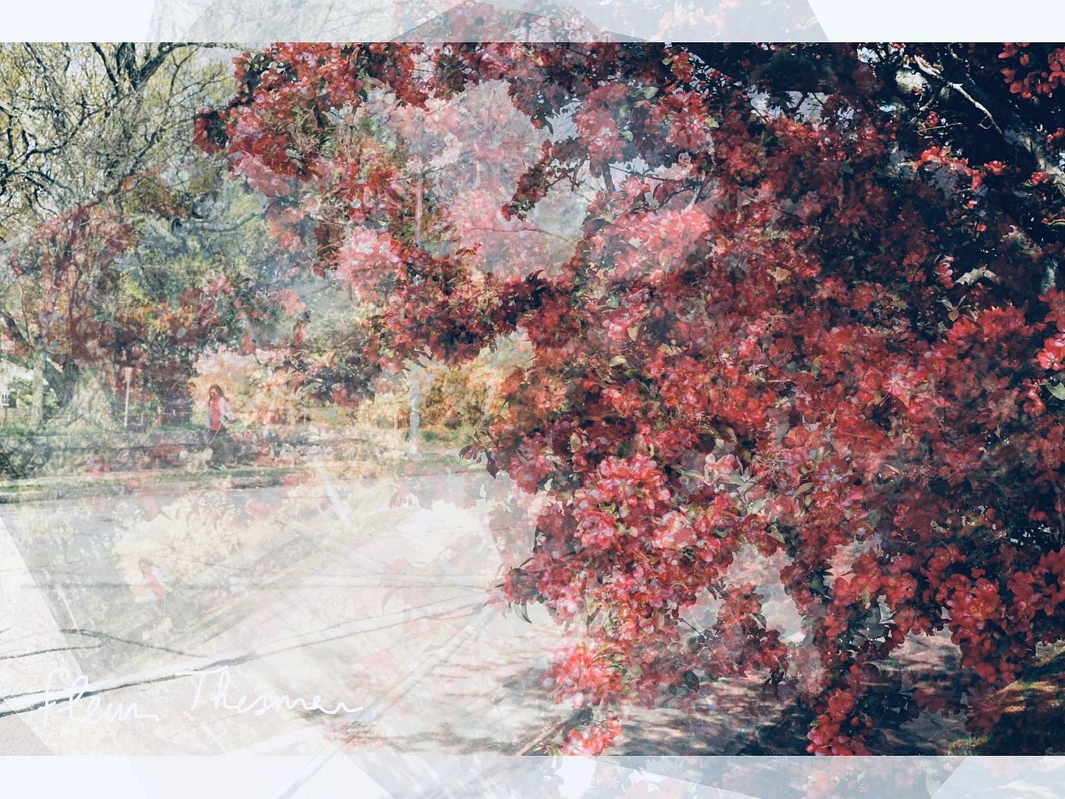 © fleurthesmar | 使用 Lomo LC-A 120 胶片相机拍摄的三重曝光图像