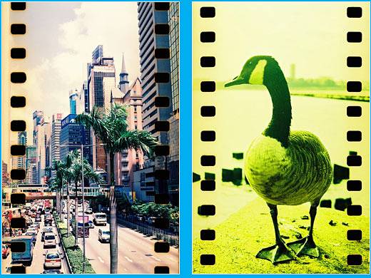 The NEW Lomo Lubitel 166+ Has Arrived! · Lomography