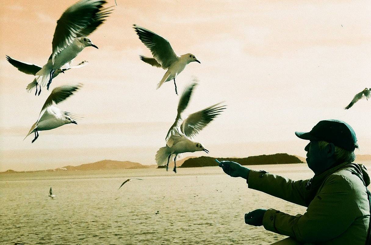 图 1 和图 3 使用 LomoChrome Turquoise 绿松石胶卷拍摄