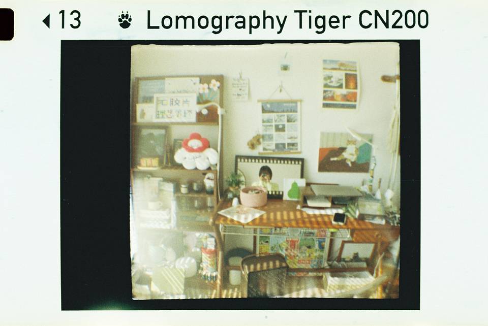 © 炉膛 | Diana Byby 110 胶片相机 &amp; Lomography Color Tiger 200 彩色负片