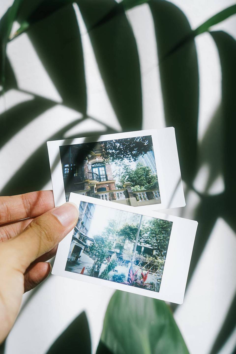 ©️ Enoch Wong ｜ Lomo’Instant Automat 拍立得相机－白色版本