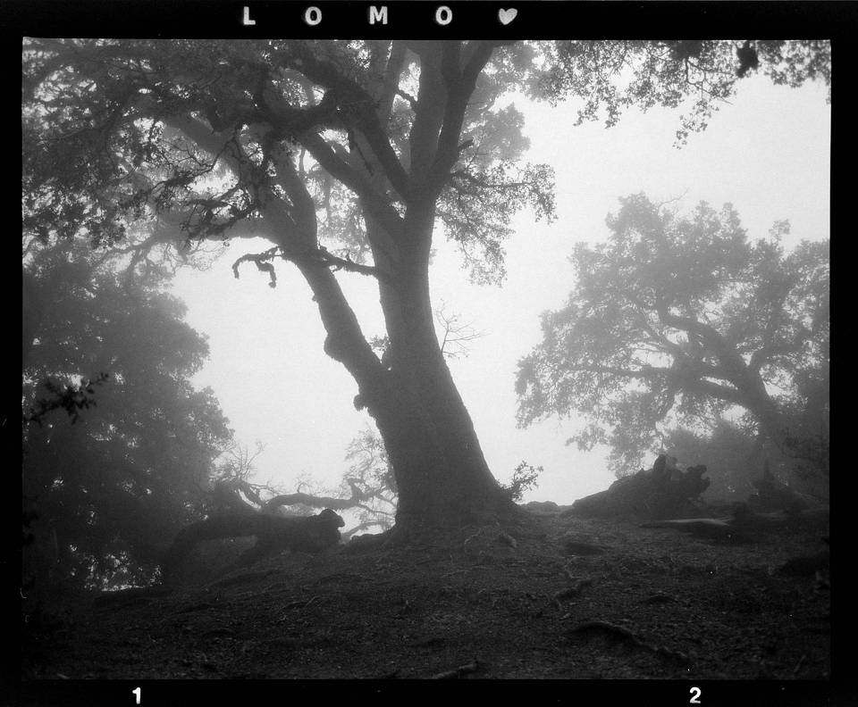 Photos by Brendan Flesher