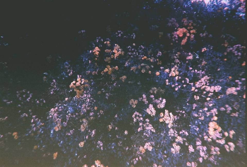 Credits: emerymott &amp; siri11