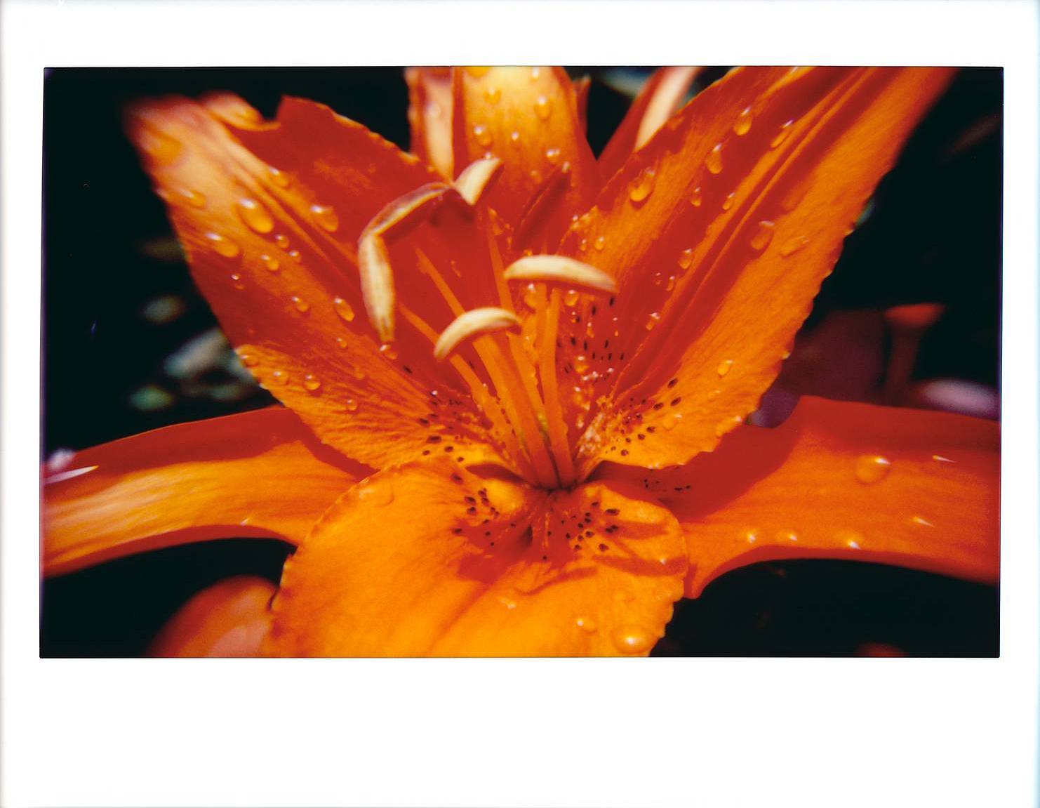 © camera-lust, candeeland, manuelpeter, leanover, seencity, mmattia &amp; theofromgreece