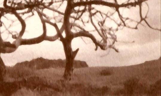 相片：lomodesbro