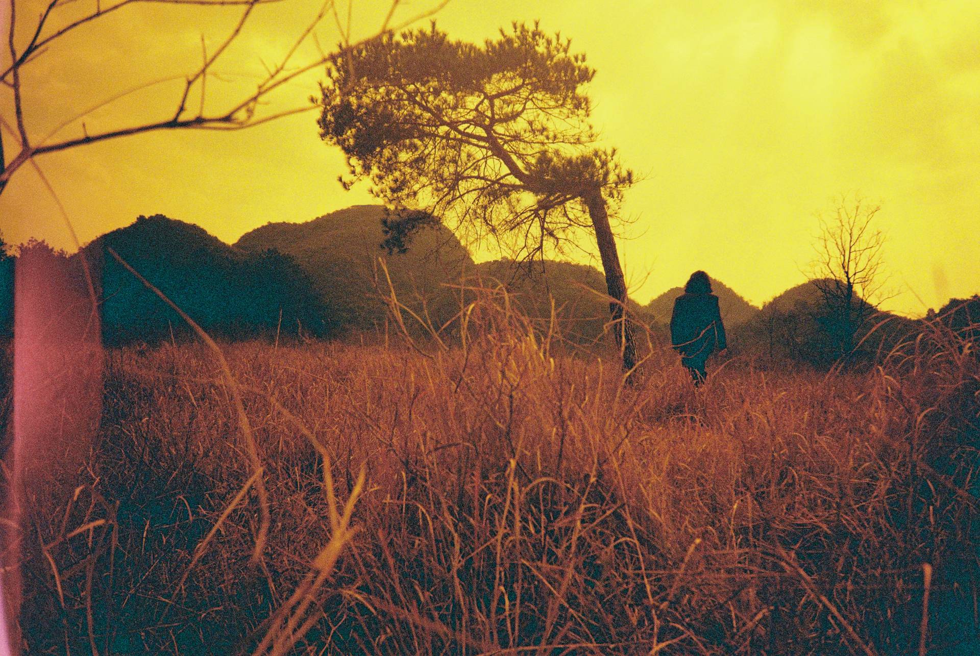 © 空调水 ，模特：欧阳 | 使用 Lomo MC-A 135 全自动随拍胶片相机 &amp; Lomography Redscale XR ISO 50-200 135 红调负片胶卷 拍摄