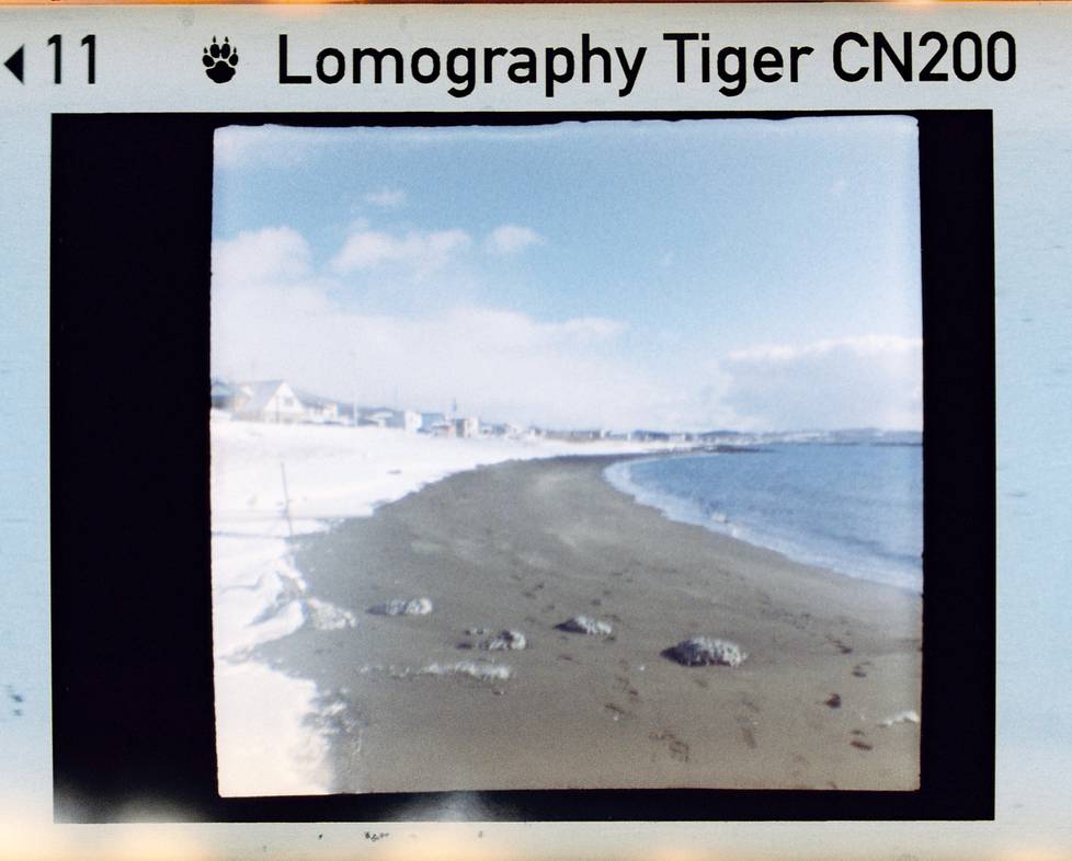 © 炉膛 | Diana Byby 110 胶片相机 &amp; Lomography Color Tiger 200 彩色负片