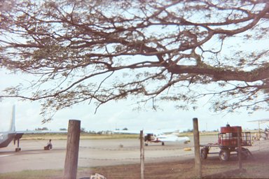 カメラ: Welica W-21 · Lomography