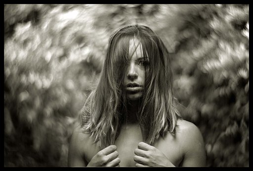 Our Curation Of The 10 Best Petzval Pictures From The US Community!