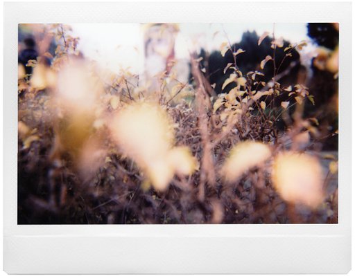 Winter in Vienna: First Impressions of the Lomo'Instant Wide
