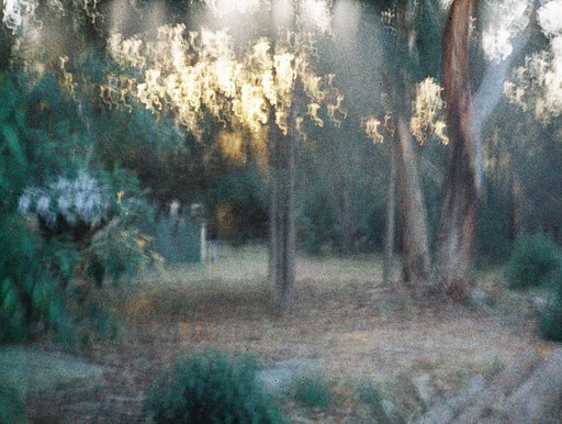 A Small Camera for ‘The Big Picture’: Celebrating 30 Years of The Big Issue Australia