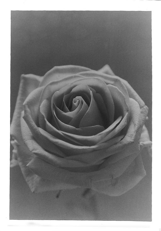 Ilford Delta 400: Film God!