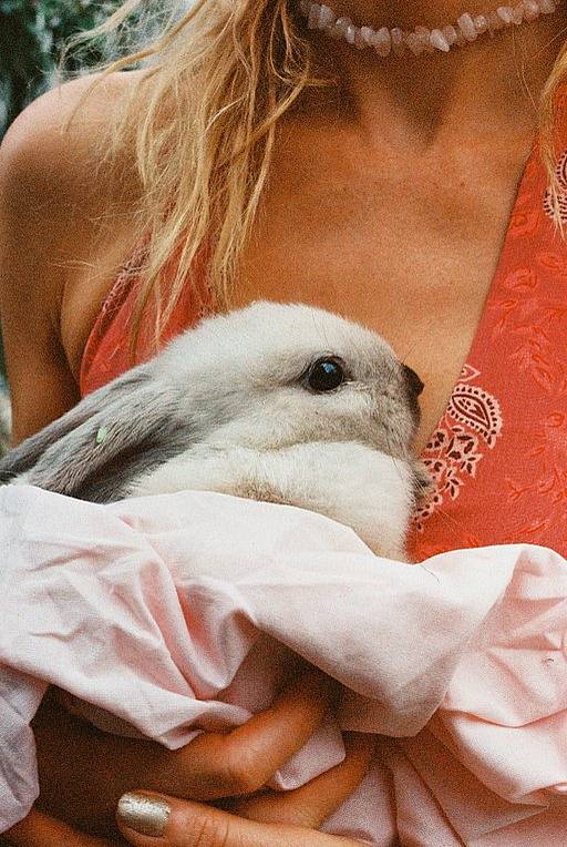 奇想之形：Isabella Rose Young 谈如何用 LomoChrome Classicolor 捕捉瞬息之美