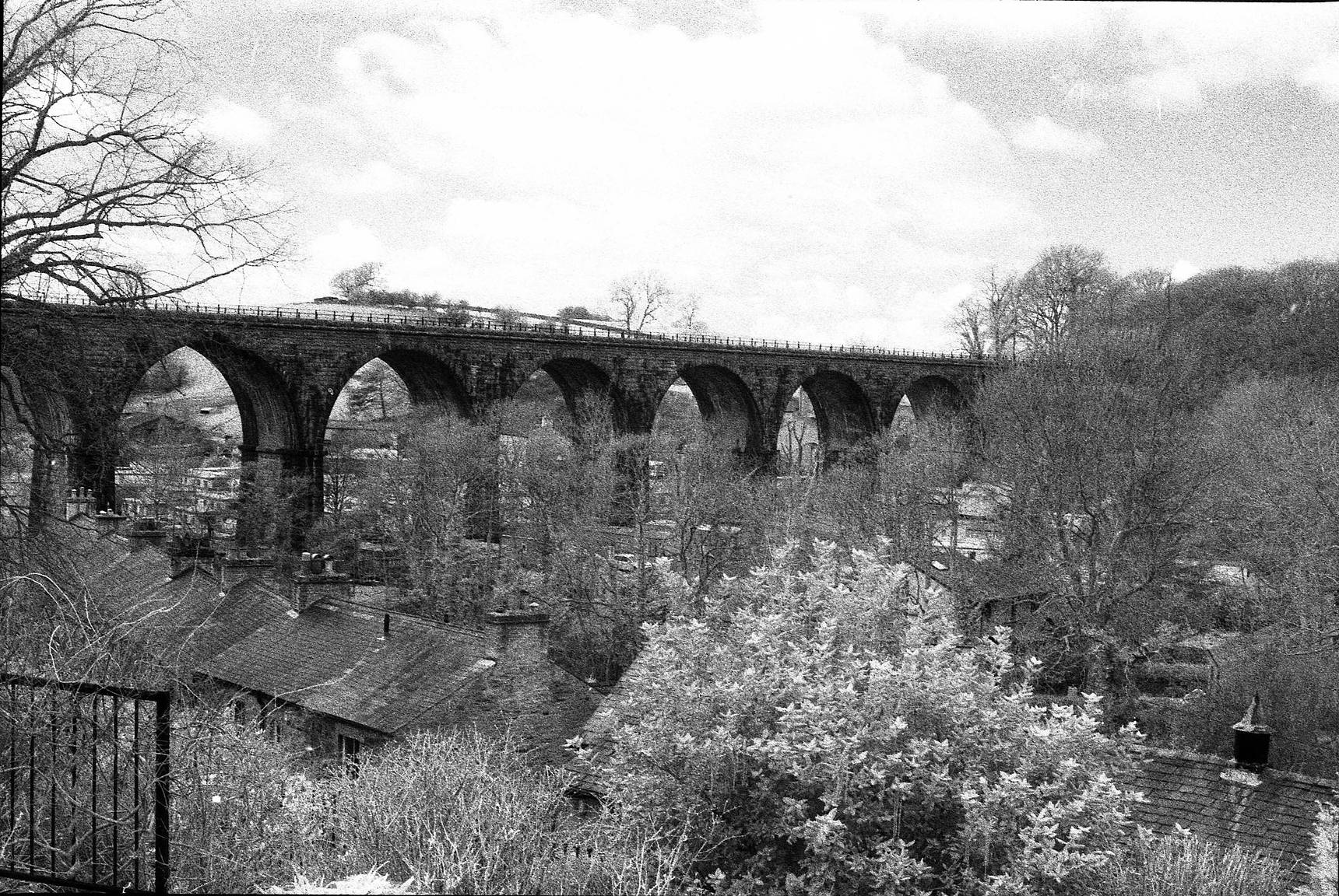 Shooting with Expired Black and White Film · Lomography