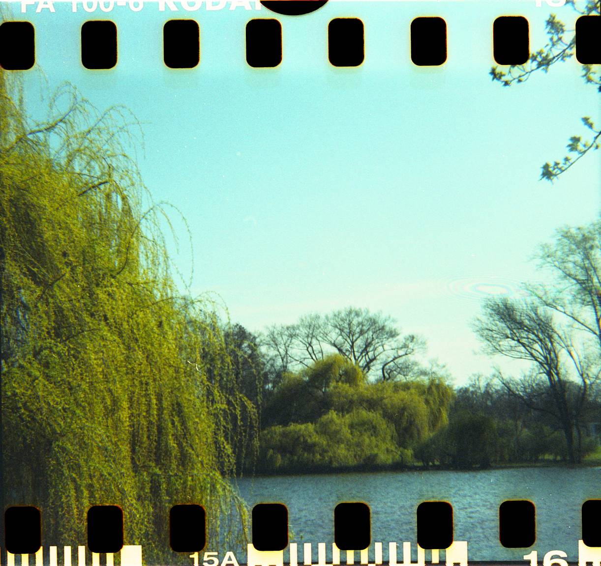 35mm Back+で撮影された美しいDiana F+ 写真 · Lomography