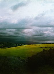 Camera: Mamiya 645 Super · Lomography