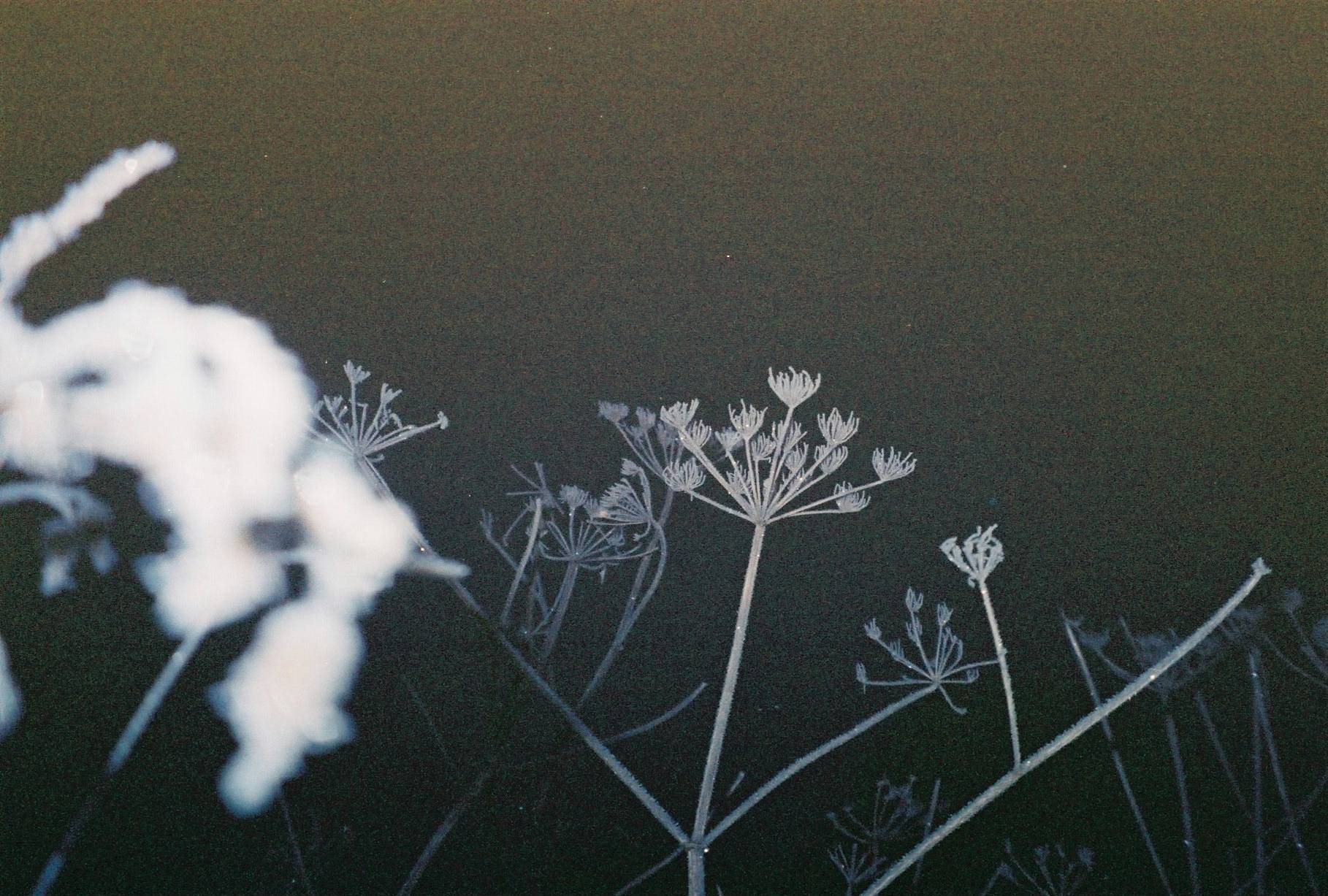 照片由： ahmetyapa,anastezija, londoncameraproject 提供。